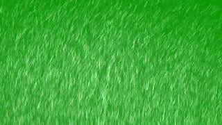 Full HD Green Screen Rain Effects Free