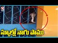 Fear grips students, staff after snake found in Chennur government school