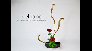 Ikebana How-to, the Tateru-katachi step-by-step