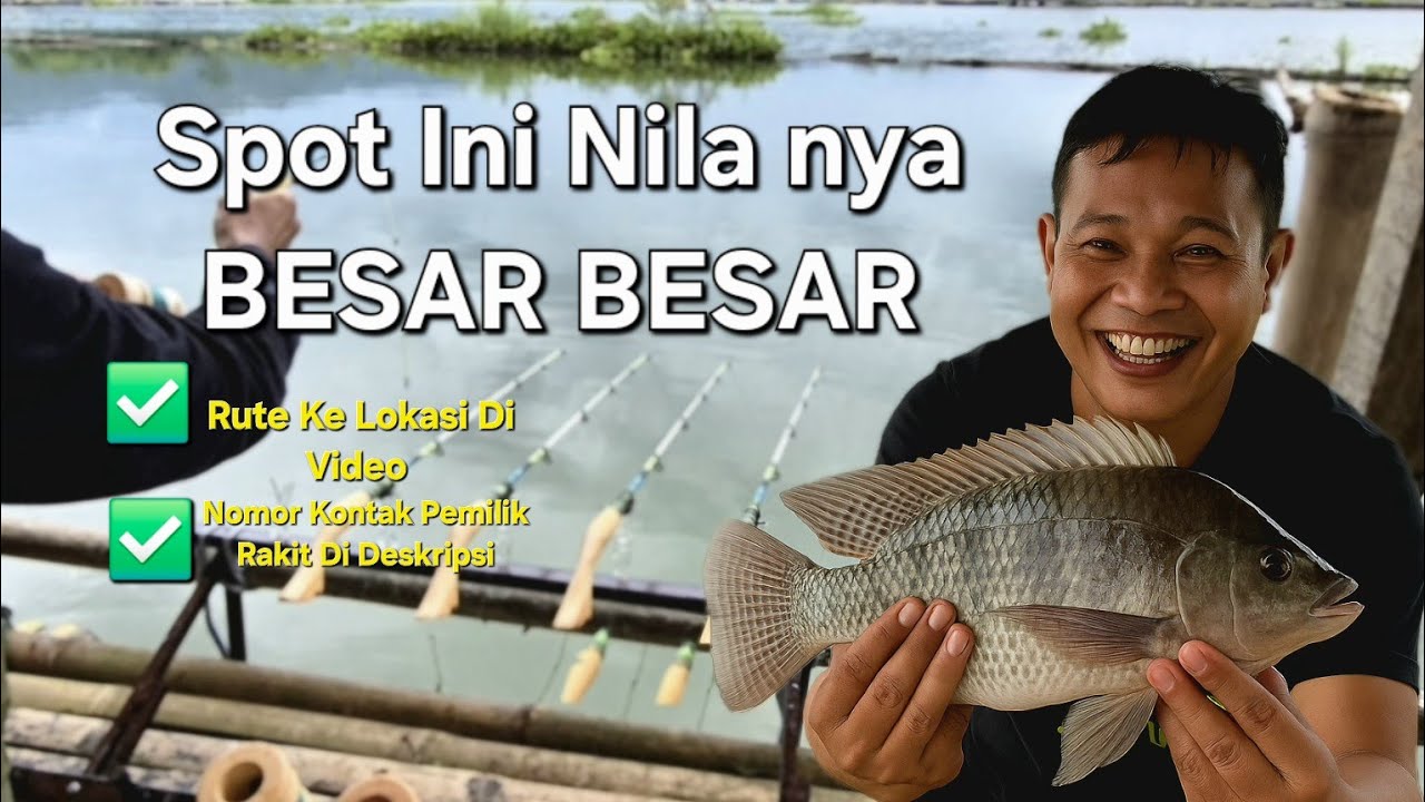 Gak Nyangka❗️ Spot Pa ONI Banyak Ikan Nila Besar | Mancing Danau Saguling