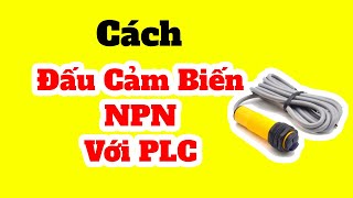 Cách Đấu Cảm Biến NPN Với PLC | PLC CHANNEL