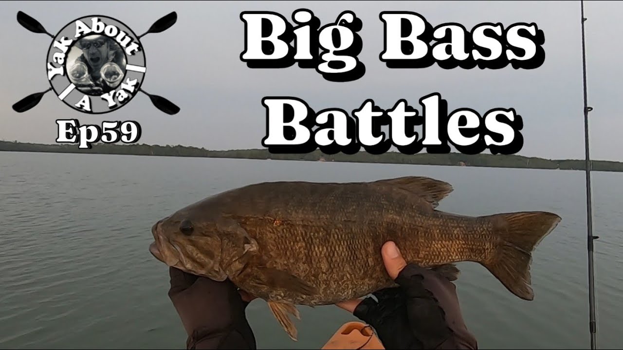 YAAY Ep59 – Big Bass Battles