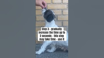 TUTORIAL - STEP 3 - how to train the perfect indication #dogtraining #nosework #indication