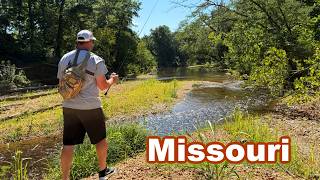 We Found a Gorgeous Missouri creek