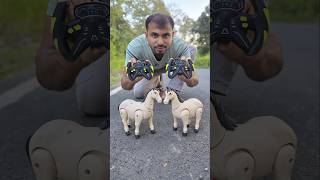 Tow Remote Control Horse Ek Sath Chalaya