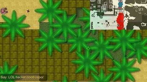 CS2D | Report Hack USGN # 96935