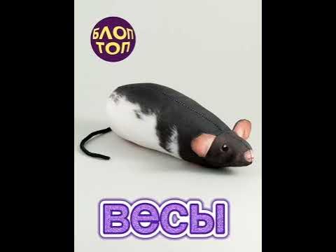 ♡какая ты игрушка блоп топ по знаку зодиака♡ - YouTube