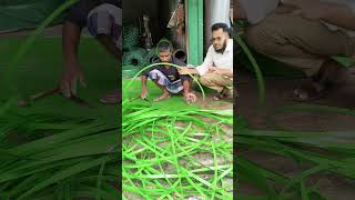 অসাধারণ হাতের কাজ! বাঁশের বিকল্প এখন প্লাস্টিক✅#Handicraft #Innovation #TraditionalArt #ModernWork