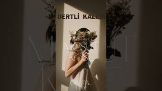 Yeni Çalışmam. Dertli Kalem & Mesut Köse (Orginal Mix)