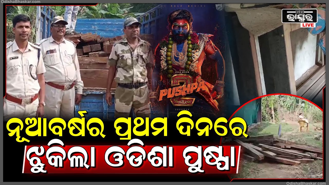 ବନବିଭାଗ ଆଗରେ ଝୁକିଲା ଓଡିଶା ପୁଷ୍ପା | ଫେରାର ହେଇଗଲେ ବ୍ୟବସାୟୀ, ହେଲେ ଛାଡ଼ିଗଲେ କାଠ