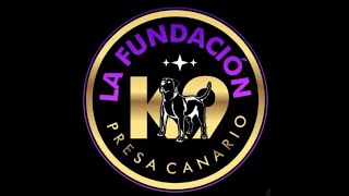 Presa Uncensored interview with Richard DeBerry at La Fundacion K9 kennel and training facility Pt1