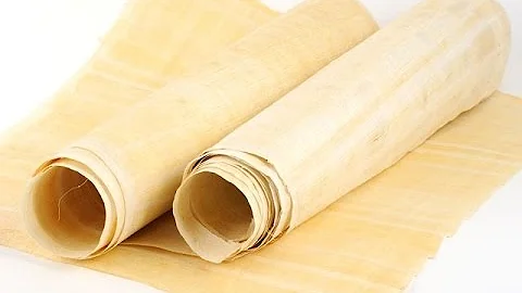 Cosa rappresentava il ciuffo di papiro?