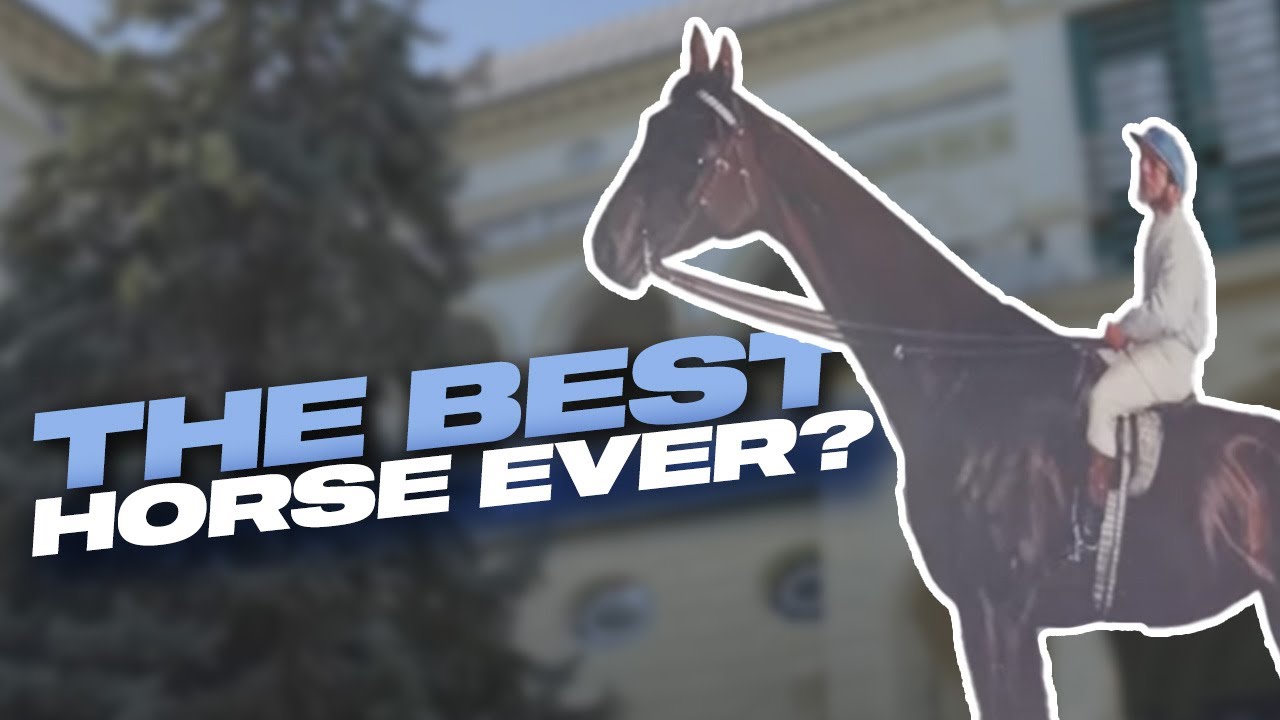 The Greatest Horse Ever? The Unbeatable Hungarian Mare: Kincsem