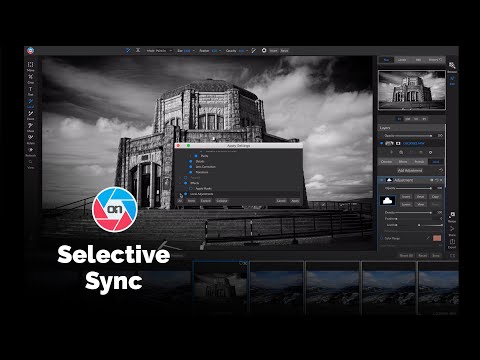 Selective Sync - ON1 Photo RAW 2019.5