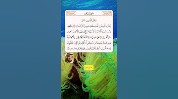 سورة غافر آية [38-40] القارئ #ابو_بكر_الشاطري