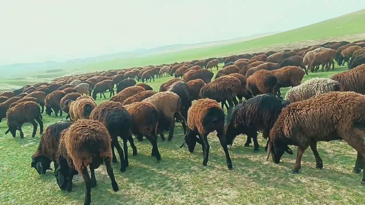 26 февраля 2026 г.