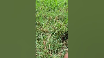 سورة البقرة آية ١٤٨
