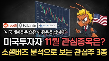 미국 개미들은 요즘 이 종목들을 주목하고 있습니다. 미국 개미가 지금 사는 AI 주식 3개
