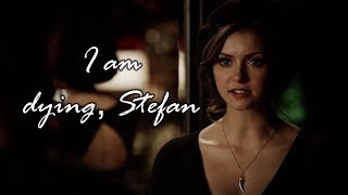 kathrine + stefan - i am dying, stefan