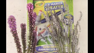 Air Brush Stippling | Air Brush Coloring Dried Botanicals | Crayola Air Marker Sprayer to Stipple