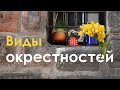 И еще немного окрестностей. Начался период цветения орхидей