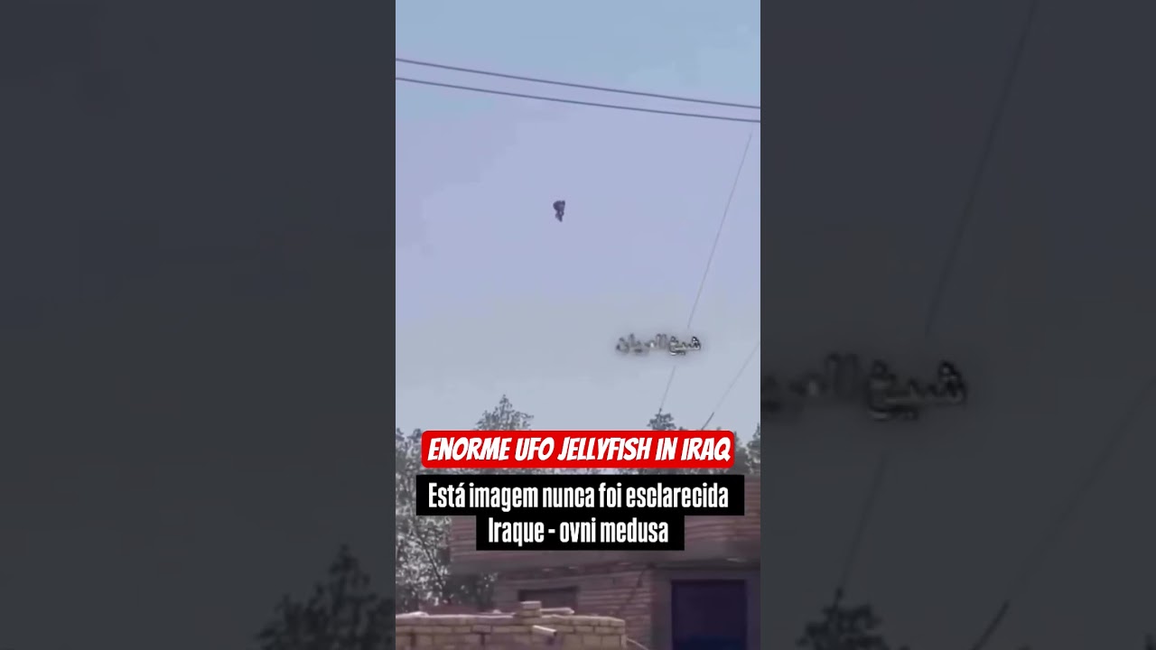 maxresdefault Caccia F-15 USA abbattuto da UFO Jellyfish?