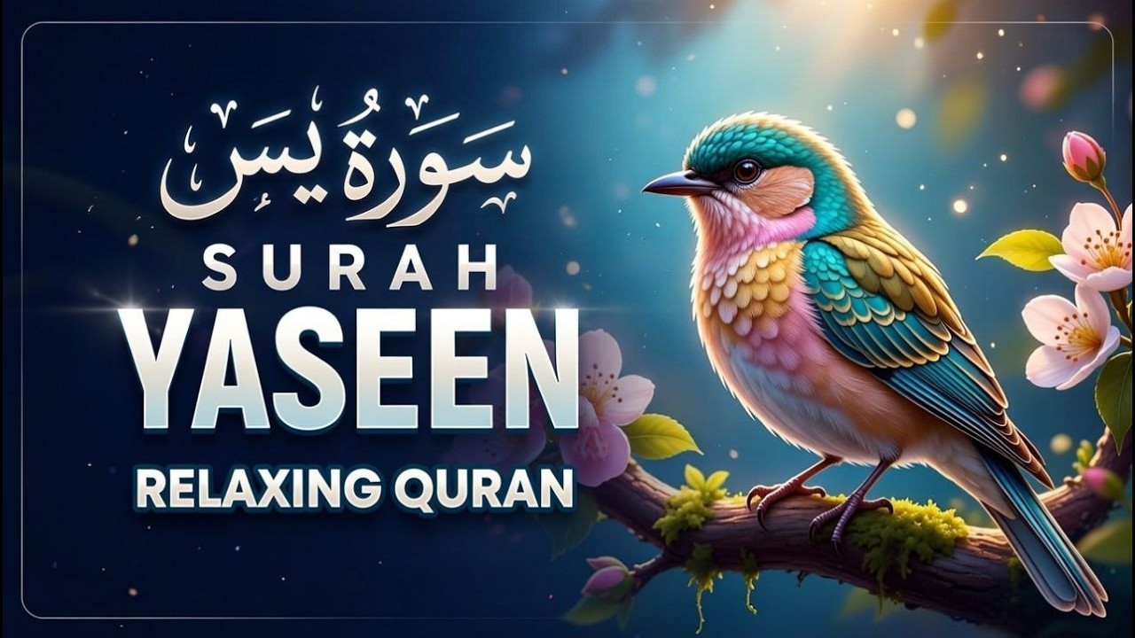 Surah Yaseen سورة يس | Heart-Touching Recitation for Peace & Blessings -Quran for Sleep- صوت الجنة