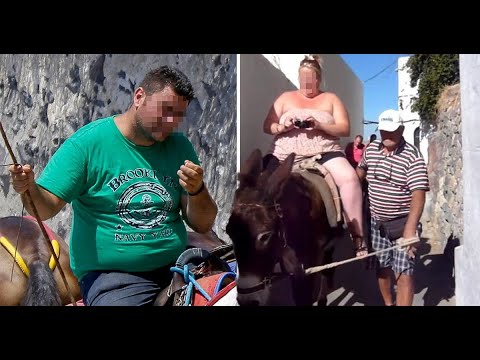Greece bans obese tourists from riding on donkeys