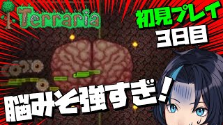 #3 ボスを倒すために強くなりたい【テラリア/Terraria】るじくにVTuber レトロゲーム実況