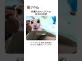 俳優たちのリアルな反応の秘密