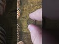 Lincoln Cent Search Finds King George VI
