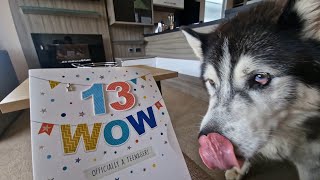 Lucky Husky Opens His Mail | Sorry Its So Late