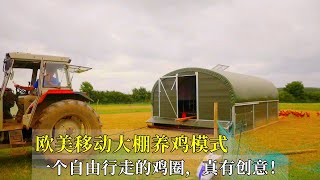 欧美移动大棚养鸡模式，一个自由行走的鸡圈，真有创意！