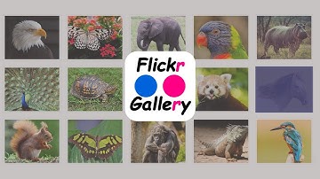 Flickr Album Gallery Pro Premium WordPress Plugin | How to Install Flickr Album Gallery in WordPress