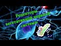 Рецепторы и медиаторы вегетативной нервной системы | Receptors of autonomic nervous system