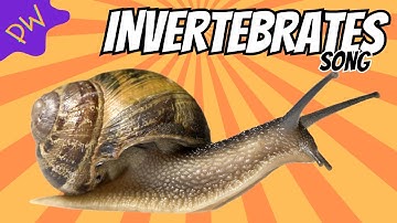 🦋 Invertebrates Song | Discover the World Without Backbones! 🎶