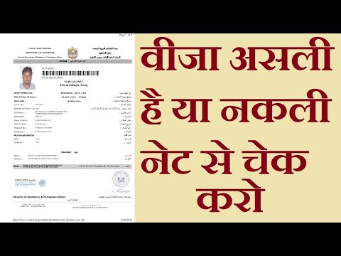 वीडियो: यूएसए के साथ वीज़ा व्यवस्था को कैसे सरल बनाया गया है