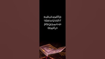 حالات قرآن كريم | إن المتقين في جنات وعيون | القارئ الشيخ أحمد النفيس