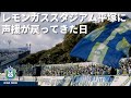 【2年8ヶ月ぶりの声援】レモンガススタジアムに声援が戻ってきた日。2022.10.29