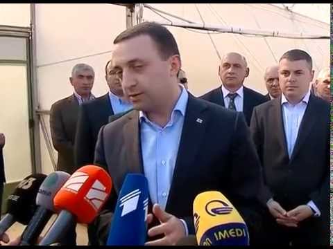 სასათბურე მეურნეობის დათვალიერება ხობში