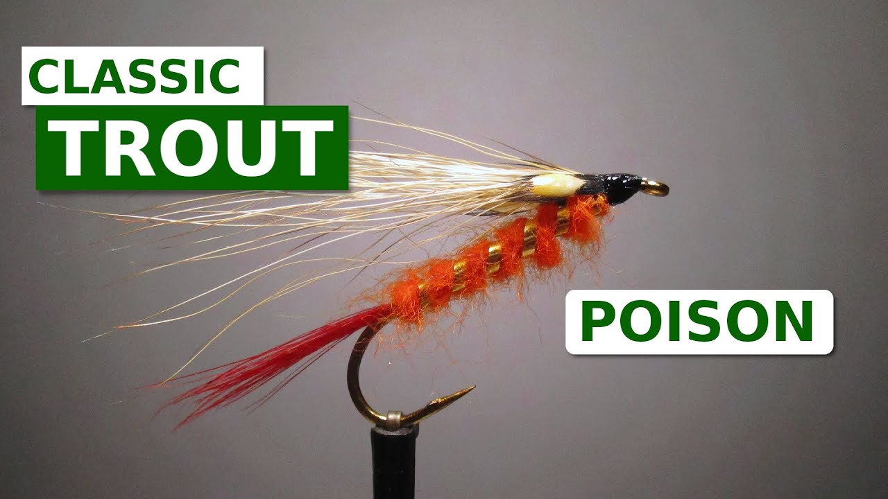 Fly Tying the Poison Bucktail (Mike Valla Classic Streamers) 