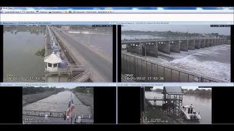 Video from the world