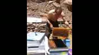 Benim Arılarım Sokmaz