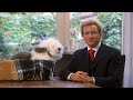 Koefnoen - Samson & Geert