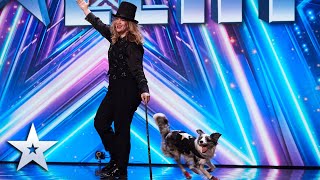 is this one of the best dog acts weve ever seen auditions