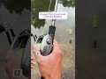 Le Swimbait