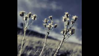 Besimplicity - Silent Changing
