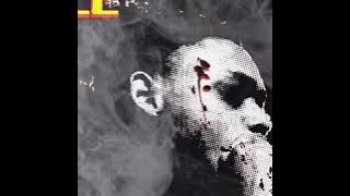 KILL BILL (Official Audio)