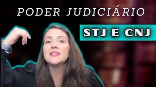 AULA Poder Judiciário - STJ e CNJ | Direito Constitucional | Prof Adriane Fauth