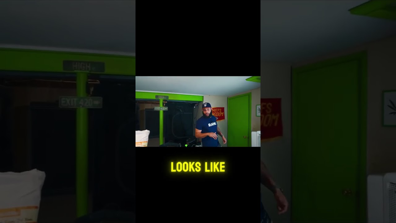 Watering Techniques for Newly Transplanted Plants